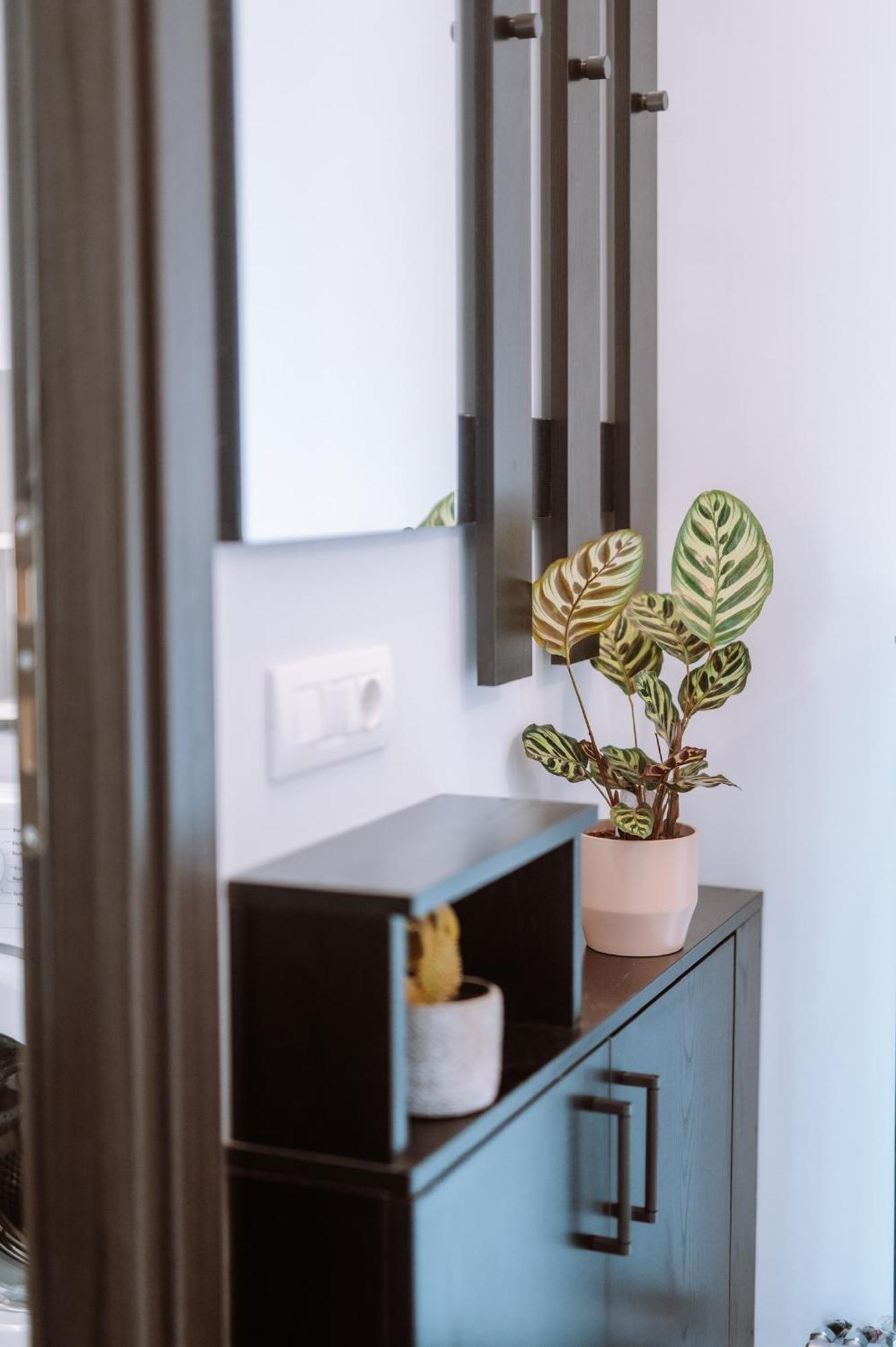 Louisa Luxury Apartments Preveze Dış mekan fotoğraf