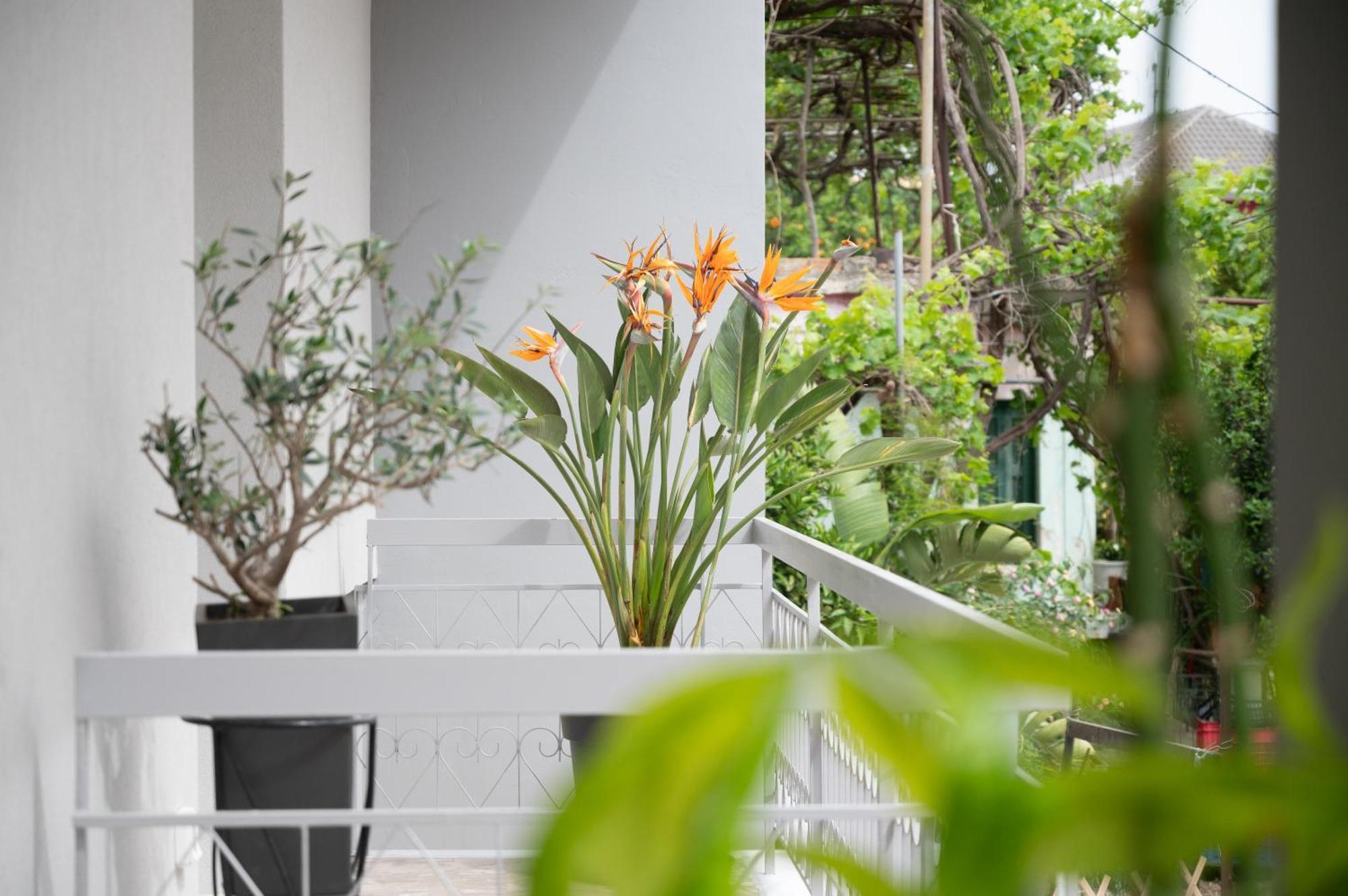 Louisa Luxury Apartments Preveze Dış mekan fotoğraf